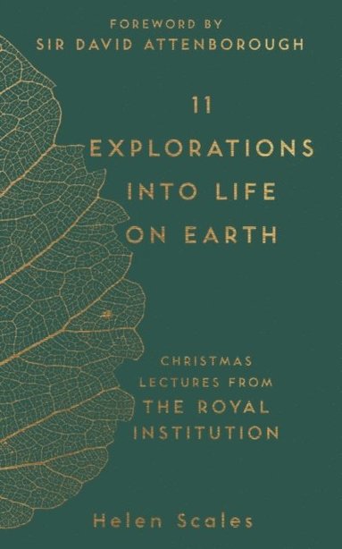 11 Explorations into Life on Earth (e-bok)
