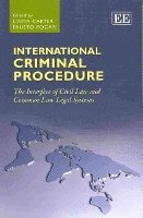 International Criminal Procedure (häftad)