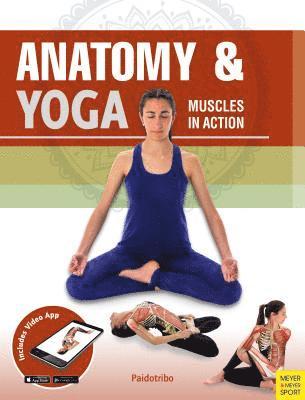 Anatomy & Yoga (h�ftad)