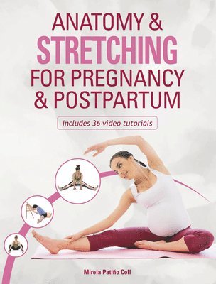 Anatomy & Stretching for Pregnancy & Postpartum (h�ftad)