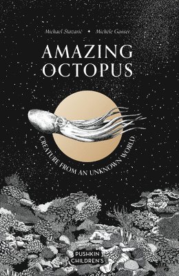 Amazing Octopus (häftad)
