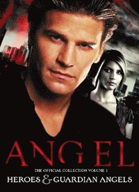 Angel: The Official Collection Volume 1 Heroes & Guardian Angels (hftad)