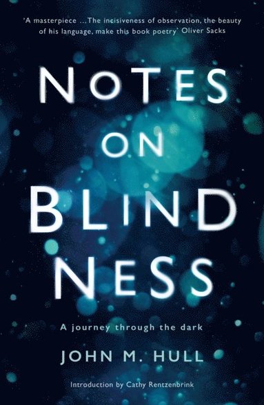 Notes on Blindness (e-bok)