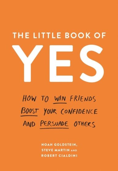 Little Book of Yes (e-bok)