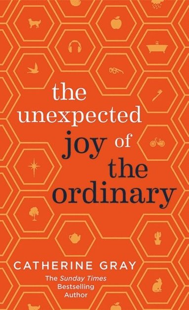 Unexpected Joy of the Ordinary (e-bok)
