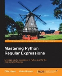 Mastering Python Regular Expressions (e-bok)