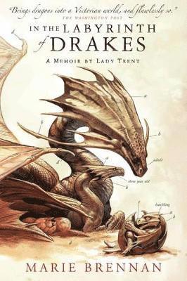 In the Labyrinth of Drakes (hftad)