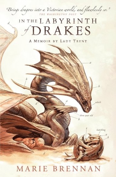 In the Labyrinth of Drakes: A Memoir by Lady Trent (häftad)