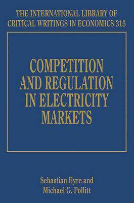 Competition and Regulation in Electricity Markets (hftad)
