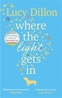 Where The Light Gets In (hftad)