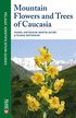 Mountain Flowers and Trees of Caucasia