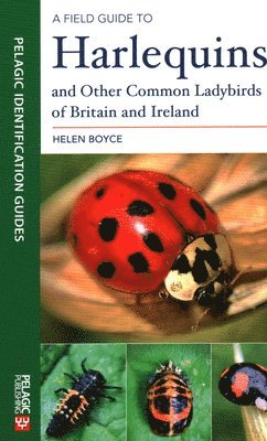 A Field Guide to Harlequins and Other Common Ladybirds of Britain and Ireland (hftad)