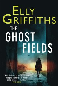 Ghost Fields (e-bok)