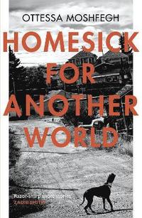 Homesick For Another World (häftad)