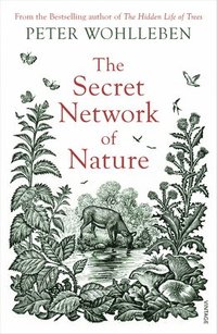 The Secret Network of Nature (häftad)