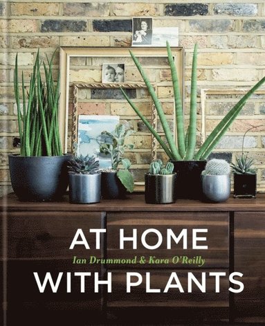 At Home with Plants (inbunden)