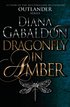 Dragonfly In Amber