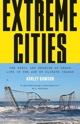 Extreme Cities (inbunden)