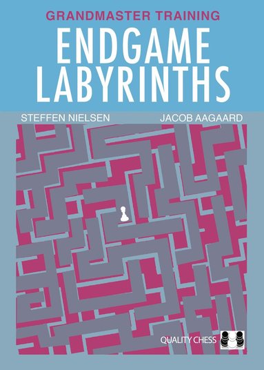Endgame Labyrinths (häftad)