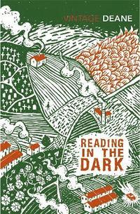 Reading in the Dark (hftad)