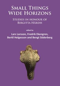 Small Things - Wide Horizons (e-bok)