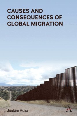 Causes and Consequences of Global Migration (inbunden)