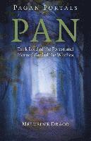 Pagan Portals  Pan  Dark Lord of the Forest and Horned God of the Witches (hftad)