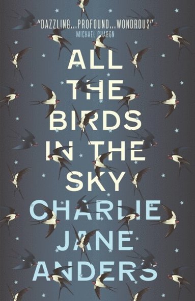 All the Birds in the Sky (e-bok)