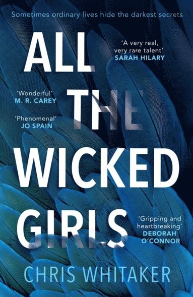 All The Wicked Girls (hftad)