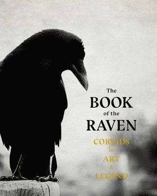 The Book of the Raven (hftad)