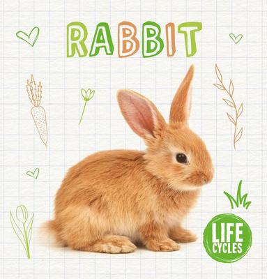 Rabbit (h�ftad)