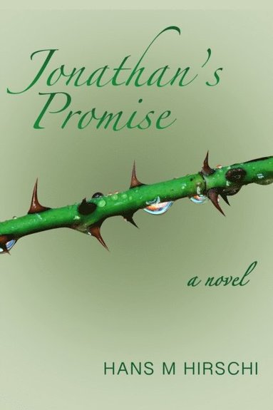 Jonathan's Promise (h�ftad)