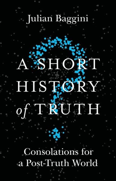 Short History of Truth (e-bok)