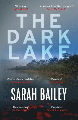 The Dark Lake (hftad)