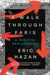 Walk Through Paris