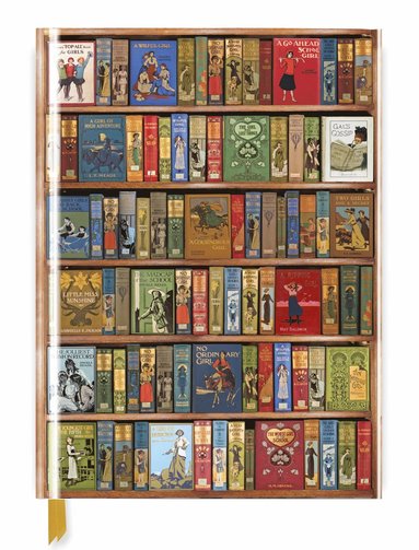 Bodleian Library: High Jinks Bookshelves (Blank Sketch Book) (hftad)