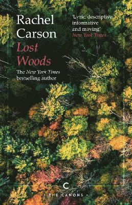 Lost Woods (hftad)