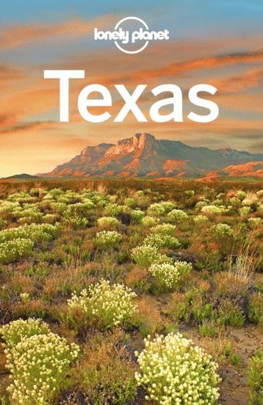 Lonely Planet Texas (e-bok)
