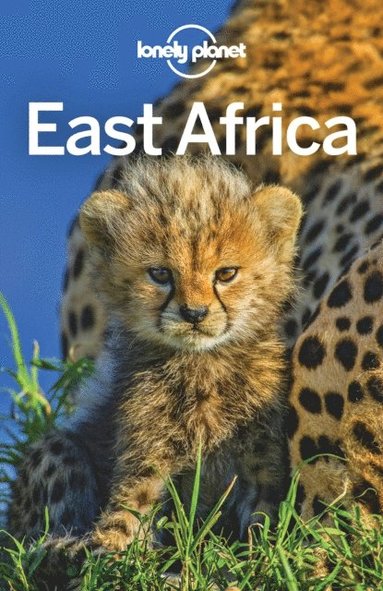 Lonely Planet East Africa (e-bok)
