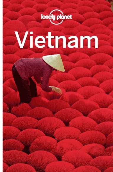 Lonely Planet Vietnam (inbunden)