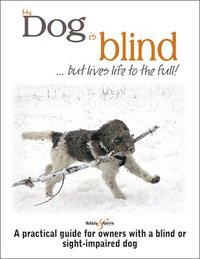 My Dog Is Blind - But Lives Life To The Full!