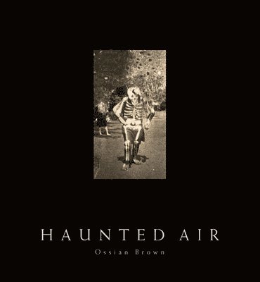 Haunted Air (häftad)