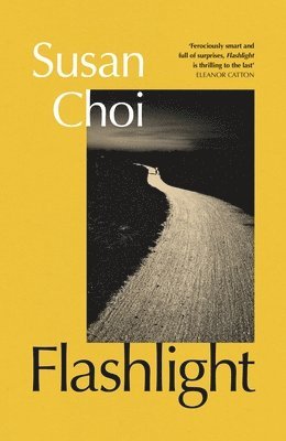 Flashlight (häftad)