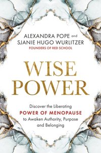 Wise Power (e-bok)