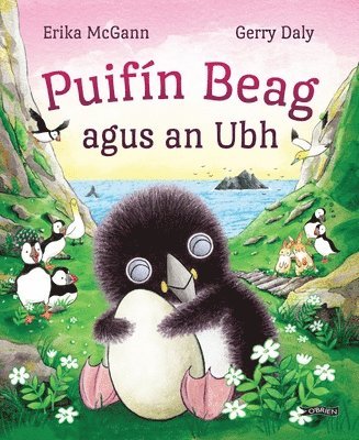 Puifín Beag agus an Ubh (häftad)
