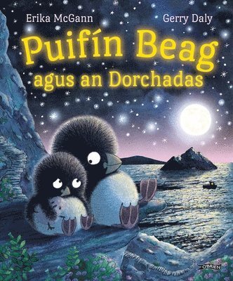 Puifín Beag agus an Dorchadas (inbunden)