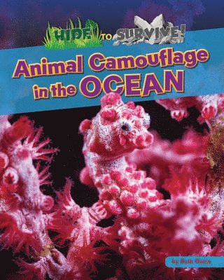 Animal Camouflage in the Ocean (häftad)