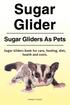 Sugar Glider. Sugar Gliders As Pets. Sugar Gliders book for care, feeding, diet, health and costs.