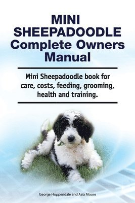 Mini Sheepadoodle Complete Owners Manual. Mini Sheepadoodle book for care, costs, feeding, grooming, health and training. (inbunden)