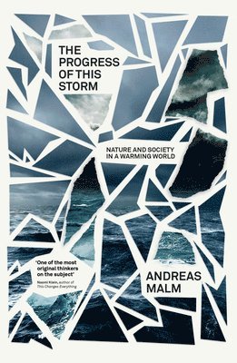 Progress of This Storm (inbunden)